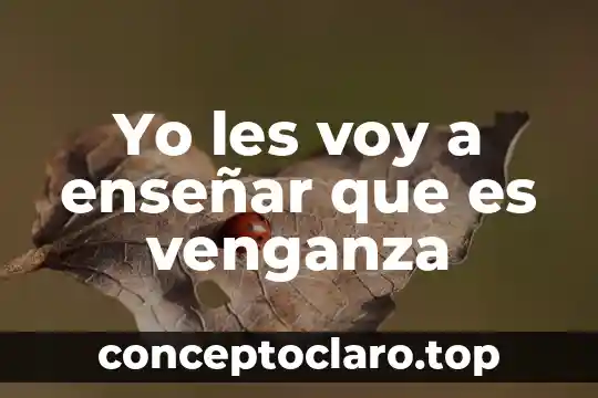 Yo les voy a enseñar que es venganza