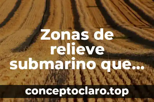 Que es un texto dra 4 Zonas de relieve submarino que es